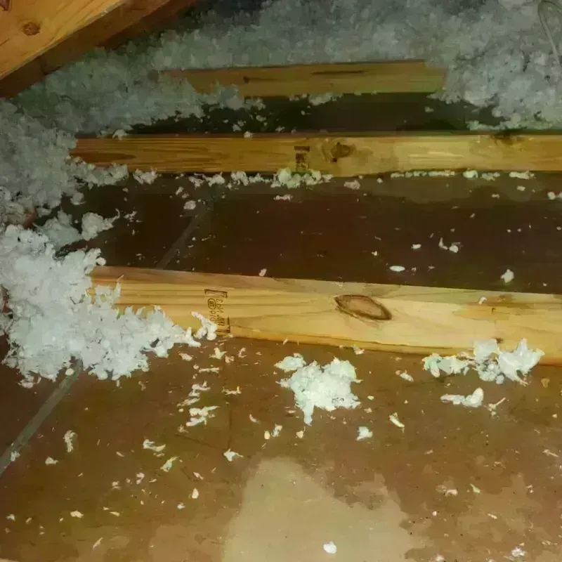 Attic Water Damage in Lanett, AL