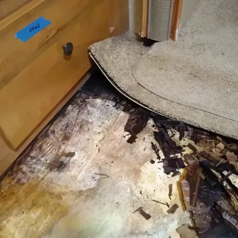 Best Wood Floor Water Damage Service in Lanett, AL